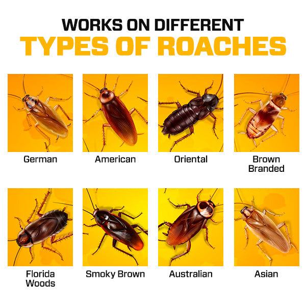 Dobshow™ Roach Bait Gel - 💥Ultimate Roach Control! 🏡✨